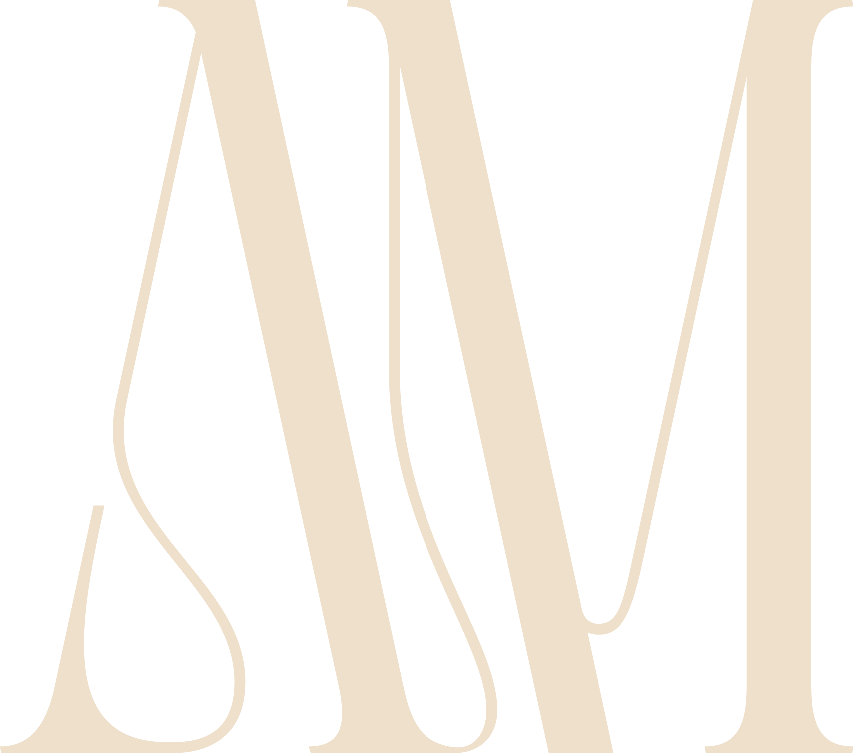 ami_logo_footer
